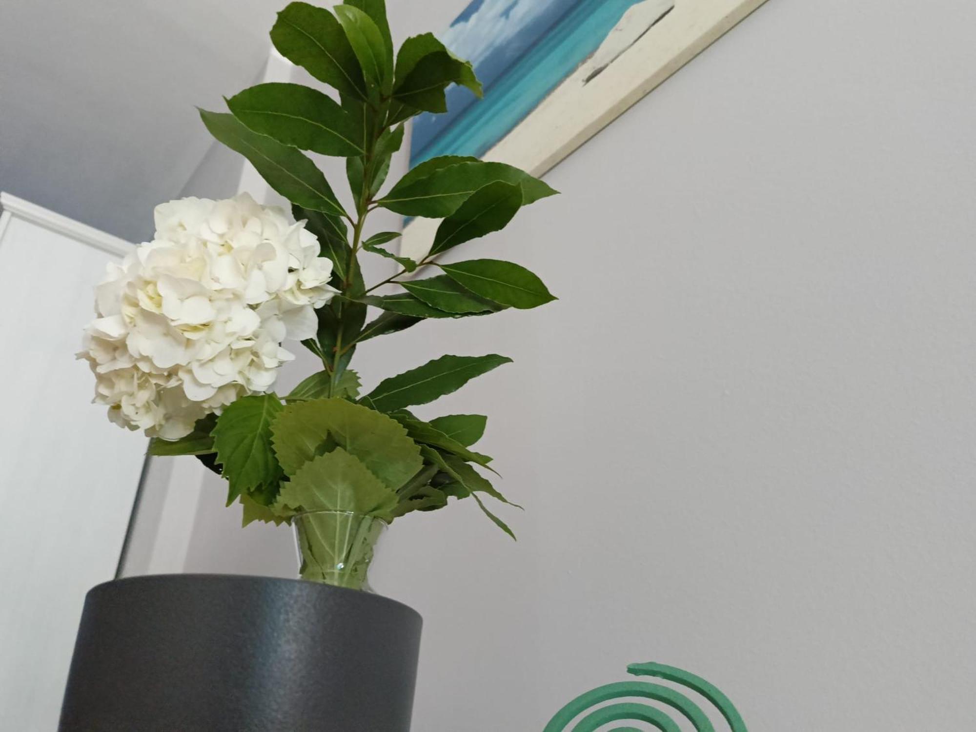Bed and Breakfast Casa Di Alice Ca Lino Екстер'єр фото